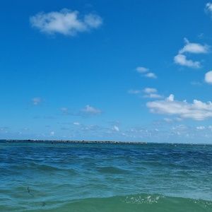 Meet your Posher, Nikita